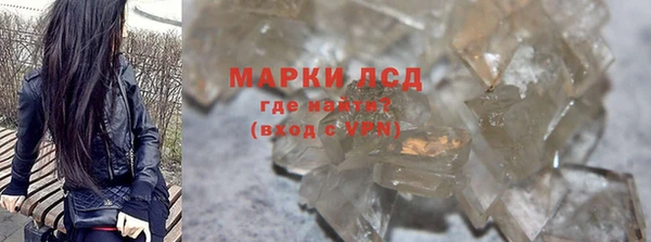 шишки Кодинск