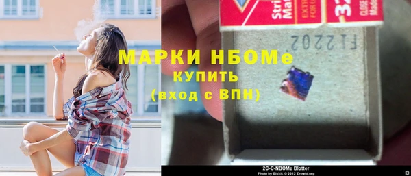 индика Киренск