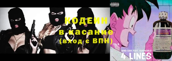 индика Киренск