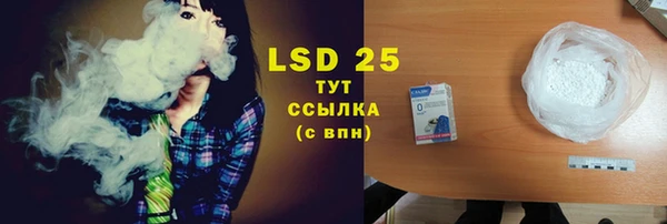 индика Киренск