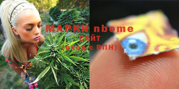 индика Киренск