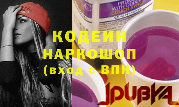 индика Киренск
