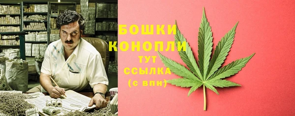 индика Киренск
